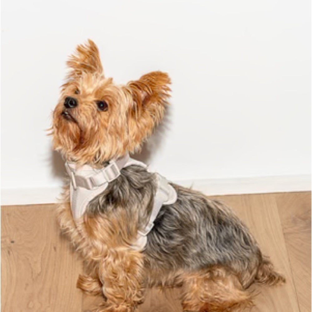 Wild one dog harness grey